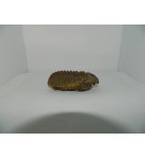 Trilobit 2