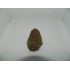 Trilobit 2